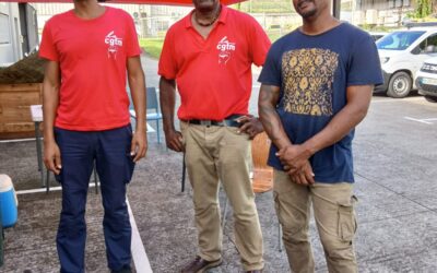 NÉGOCIATION ANNUELLE OBLIGATOIRE IDEX ENERGIE ANTILLES GUYANE : ANNÉE 2026