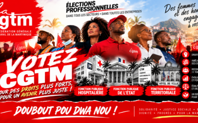ÉLECTIONS PROFESSIONNELLES 2026 DANS LA FONCTION PUBLIQUE